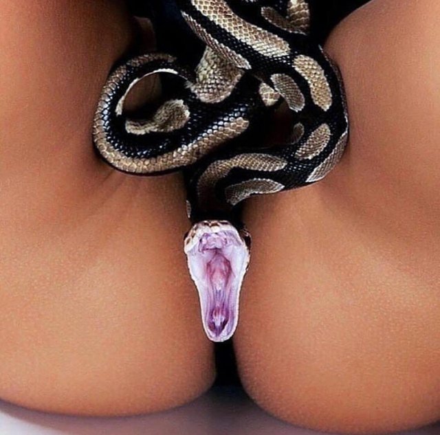 Bildschirmarbeiter - Picdump 14.09.2018