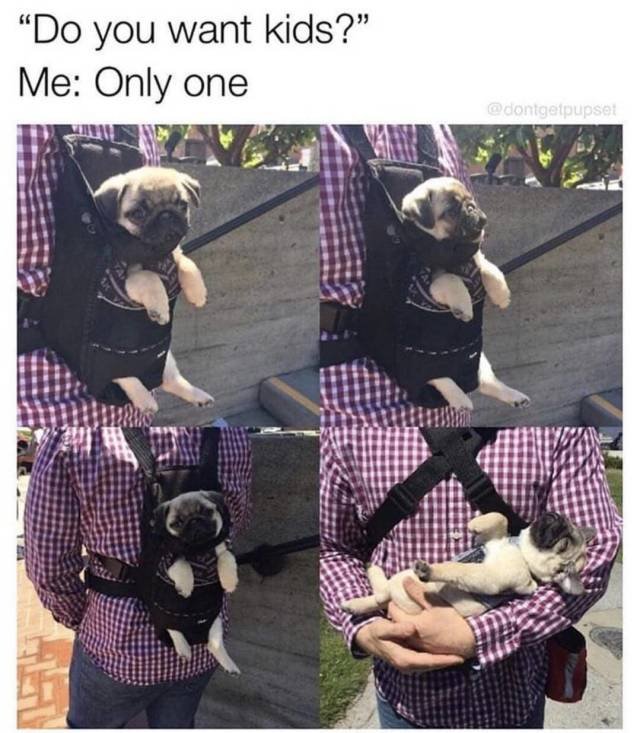 Bildschirmarbeiter - Picdump 14.09.2018