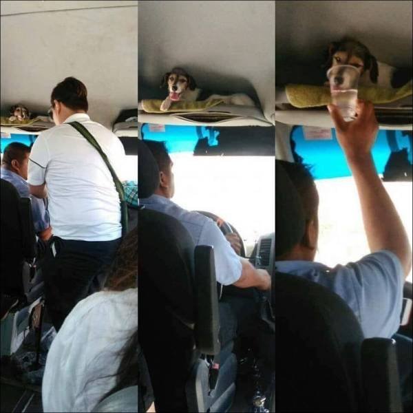 Bildschirmarbeiter - Picdump 21.09.2018