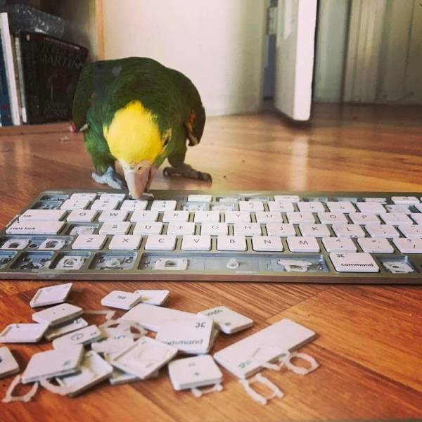 Bildschirmarbeiter - Picdump 21.09.2018