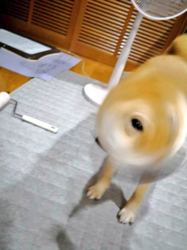 Bildschirmarbeiter - Picdump 21.09.2018