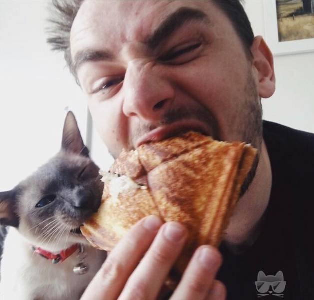 Bildschirmarbeiter - Picdump 21.09.2018