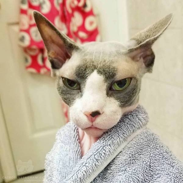 Bildschirmarbeiter - Picdump 21.09.2018