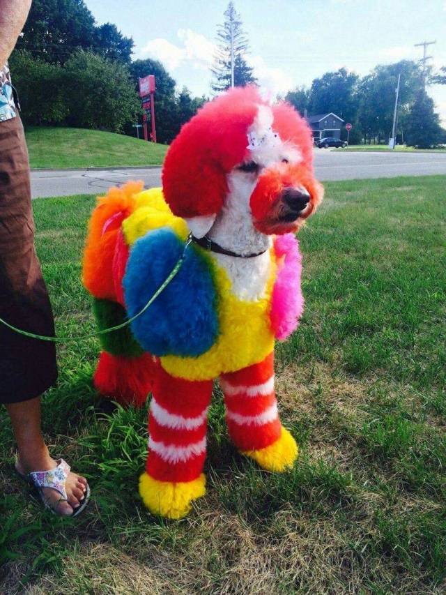 Bildschirmarbeiter - Picdump 21.09.2018