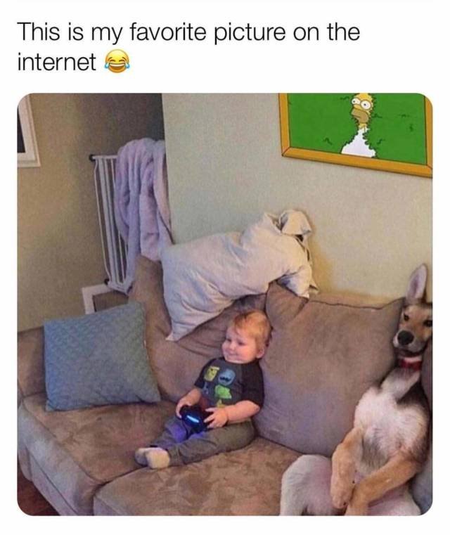 Bildschirmarbeiter - Picdump 21.09.2018