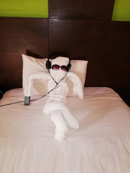 Bildschirmarbeiter - Picdump 21.09.2018