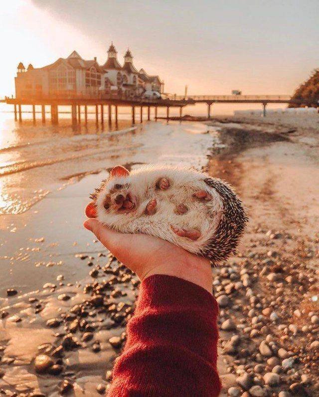 Bildschirmarbeiter - Picdump 28.09.2018