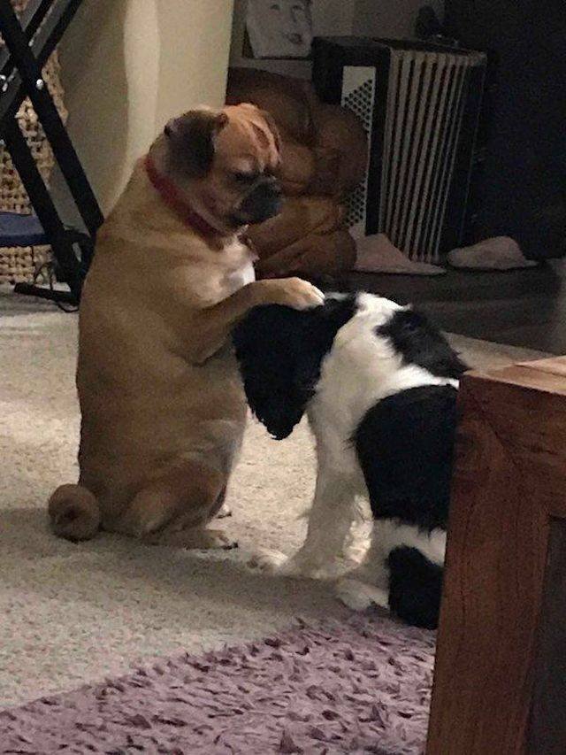 Bildschirmarbeiter - Picdump 28.09.2018