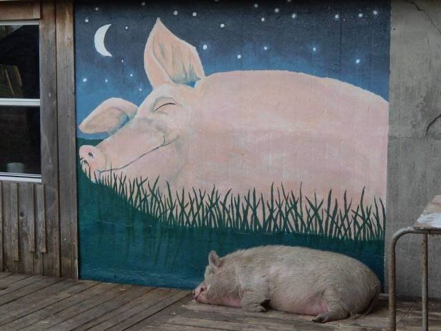 Bildschirmarbeiter - Picdump 28.09.2018