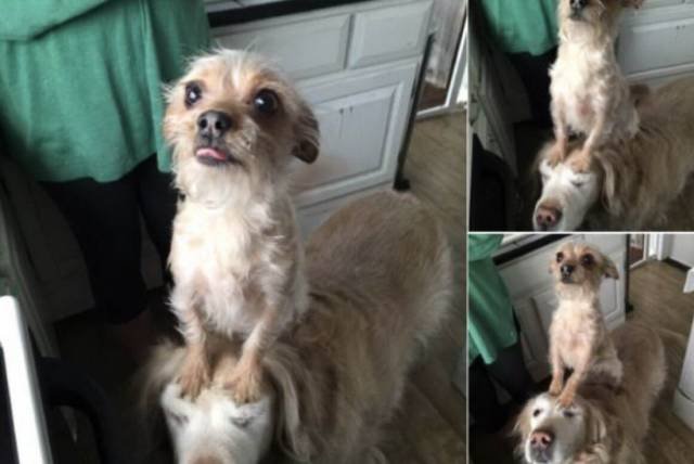 Bildschirmarbeiter - Picdump 28.09.2018