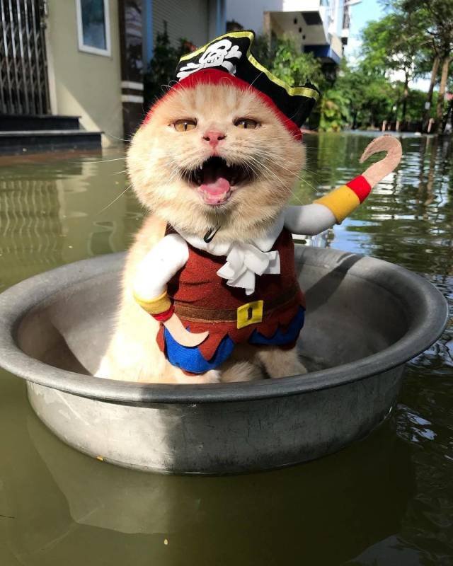 Bildschirmarbeiter - Picdump 28.09.2018