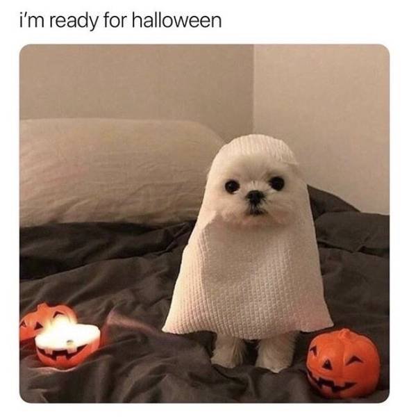 Bildschirmarbeiter - Picdump 28.09.2018