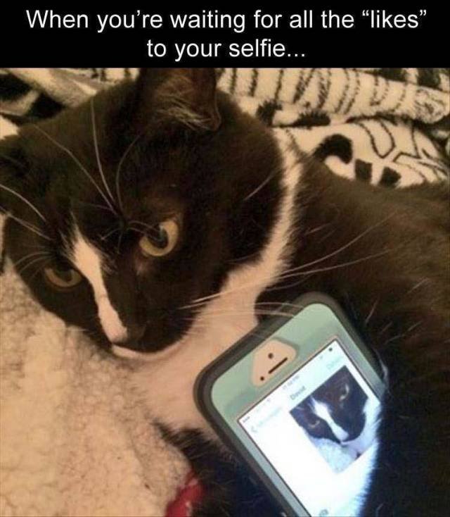 Bildschirmarbeiter - Picdump 28.09.2018