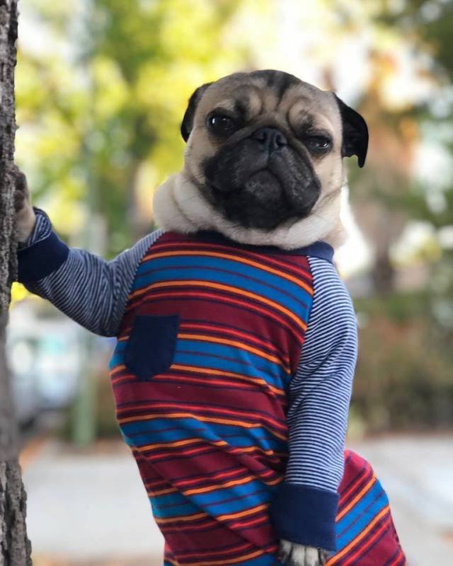 Bildschirmarbeiter - Picdump 28.09.2018