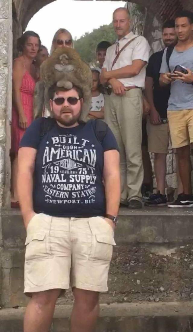 Bildschirmarbeiter - Picdump 28.09.2018