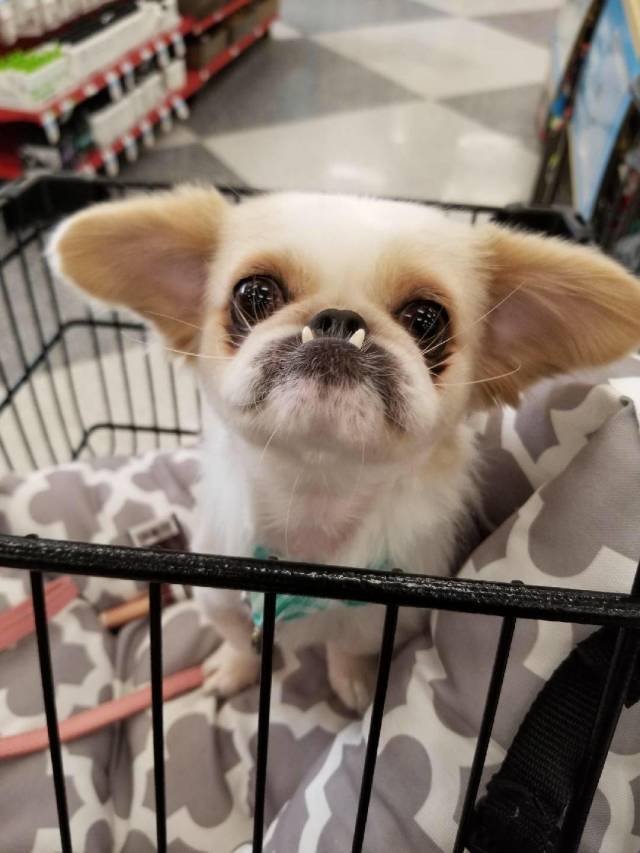 Bildschirmarbeiter - Picdump 05.10.2018