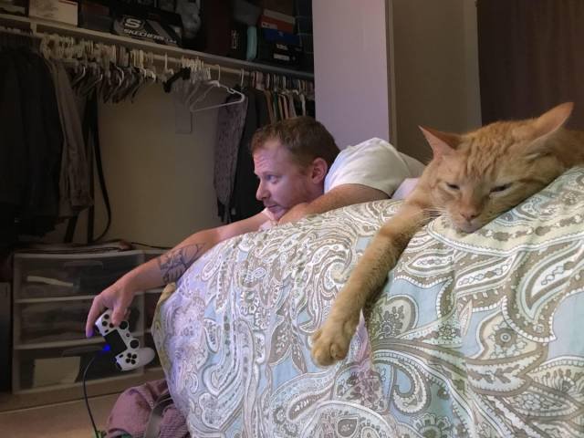 Bildschirmarbeiter - Picdump 05.10.2018