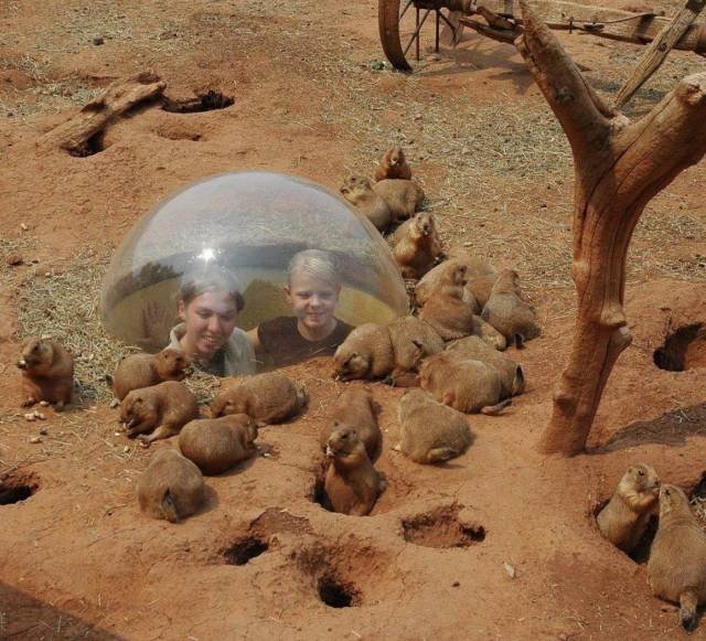 Bildschirmarbeiter - Picdump 05.10.2018