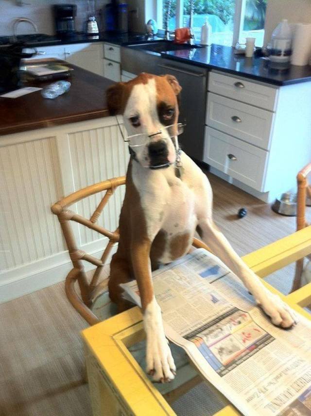 Bildschirmarbeiter - Picdump 05.10.2018