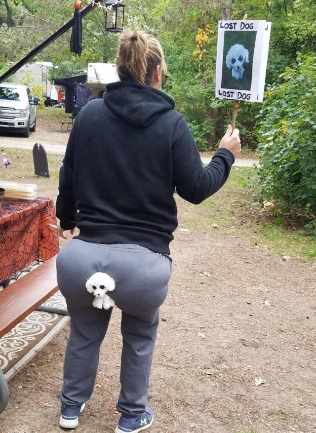 Bildschirmarbeiter - Picdump 05.10.2018