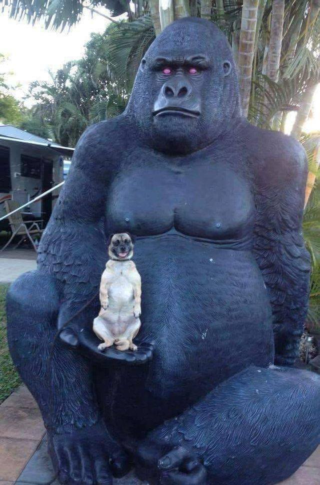 Bildschirmarbeiter - Picdump 05.10.2018