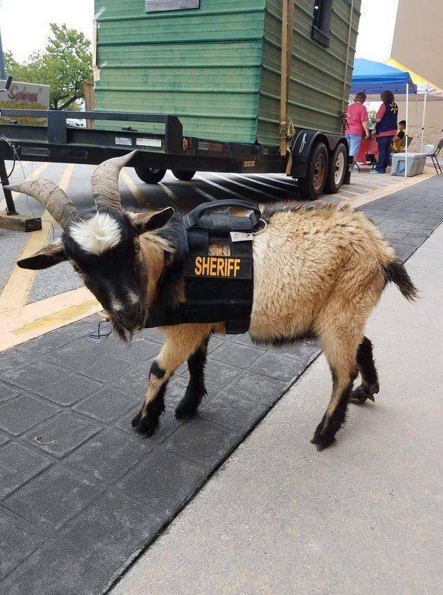 Bildschirmarbeiter - Picdump 05.10.2018