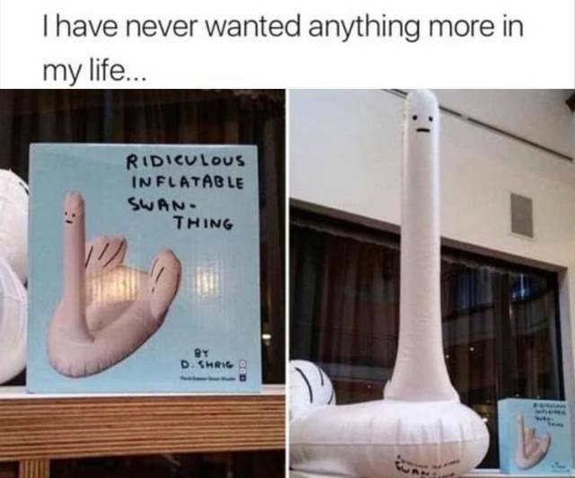 Bildschirmarbeiter - Picdump 05.10.2018