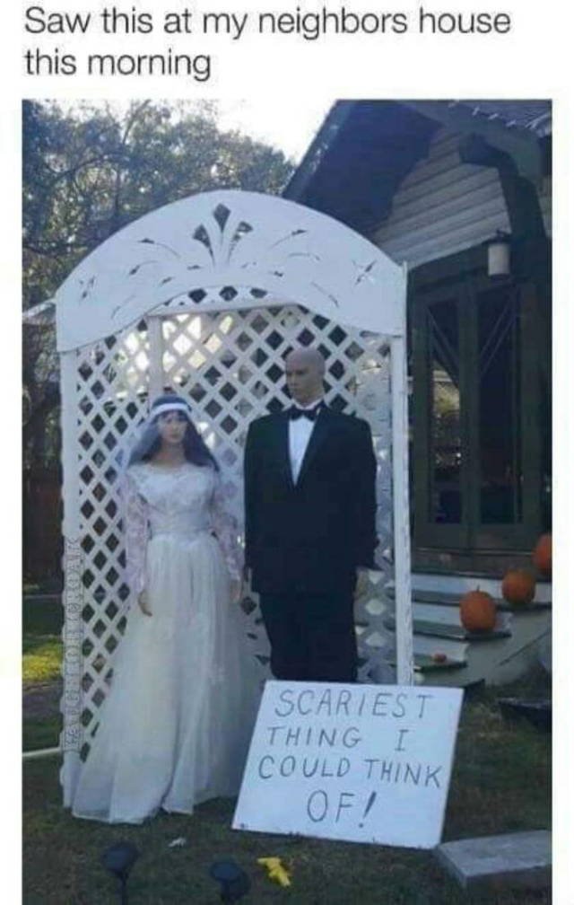 Bildschirmarbeiter - Picdump 05.10.2018