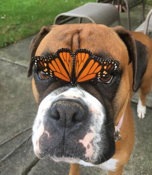 Bildschirmarbeiter - Picdump 05.10.2018