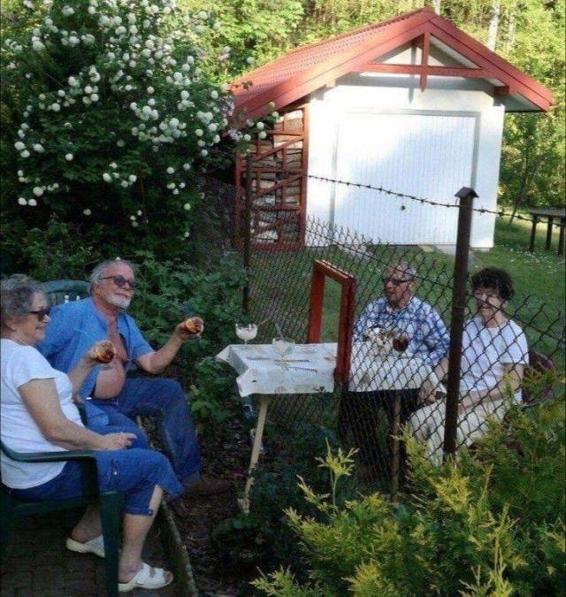 Bildschirmarbeiter - Picdump 09.11.2018