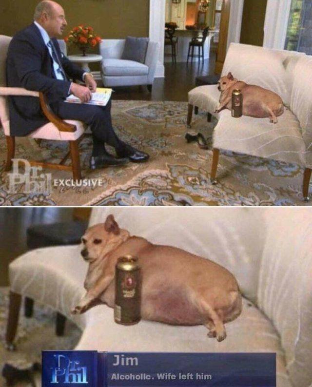 Bildschirmarbeiter - Picdump 09.11.2018