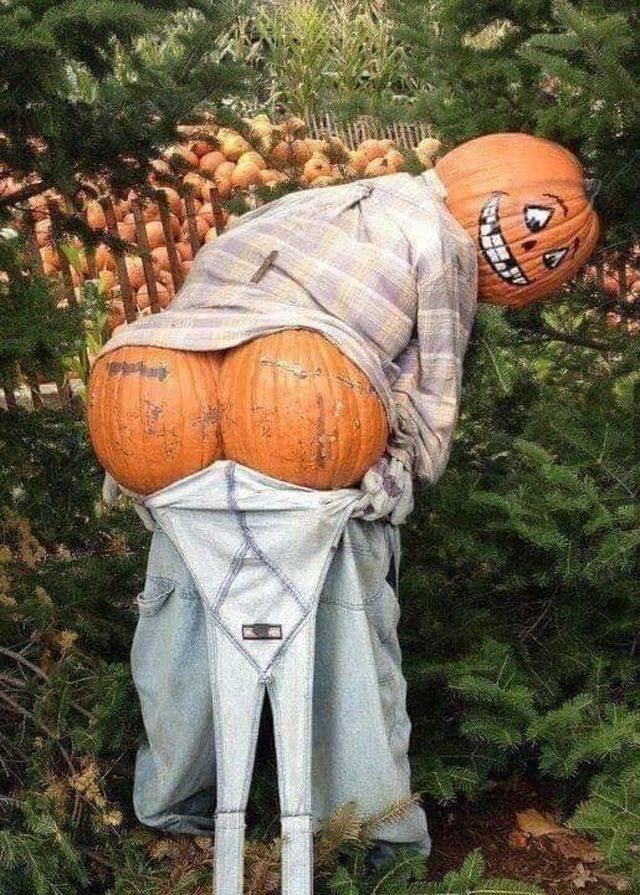 Bildschirmarbeiter - Picdump 09.11.2018