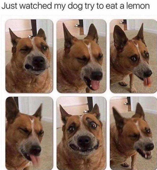 Bildschirmarbeiter - Picdump 09.11.2018