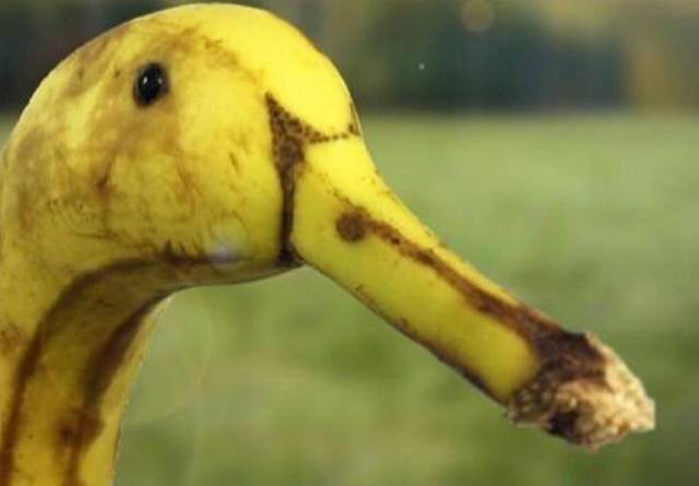 Bildschirmarbeiter - Picdump 09.11.2018