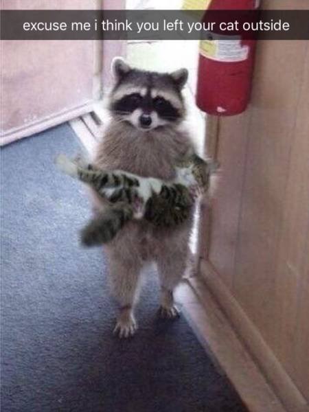 Bildschirmarbeiter - Picdump 09.11.2018