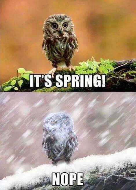 Bildschirmarbeiter - Picdump 09.11.2018