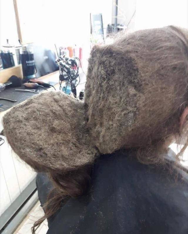 Bildschirmarbeiter - Picdump 09.11.2018