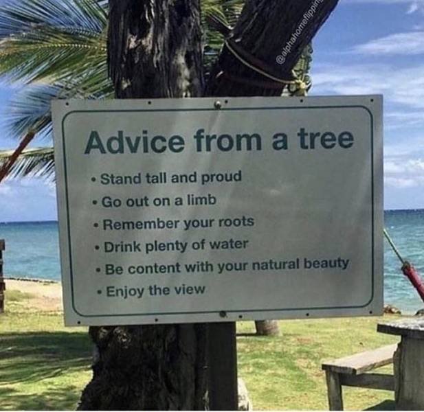 Bildschirmarbeiter - Picdump 09.11.2018