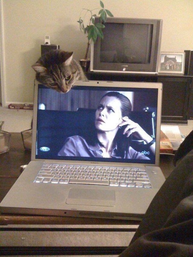 Bildschirmarbeiter - Picdump 07.12.2018