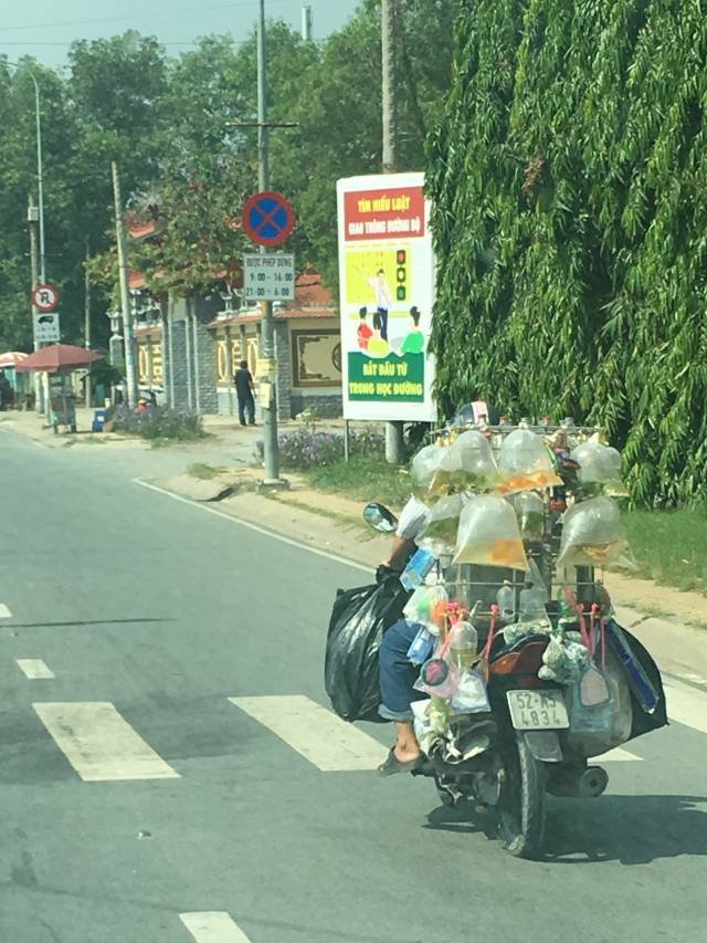 Bildschirmarbeiter - Picdump 07.12.2018