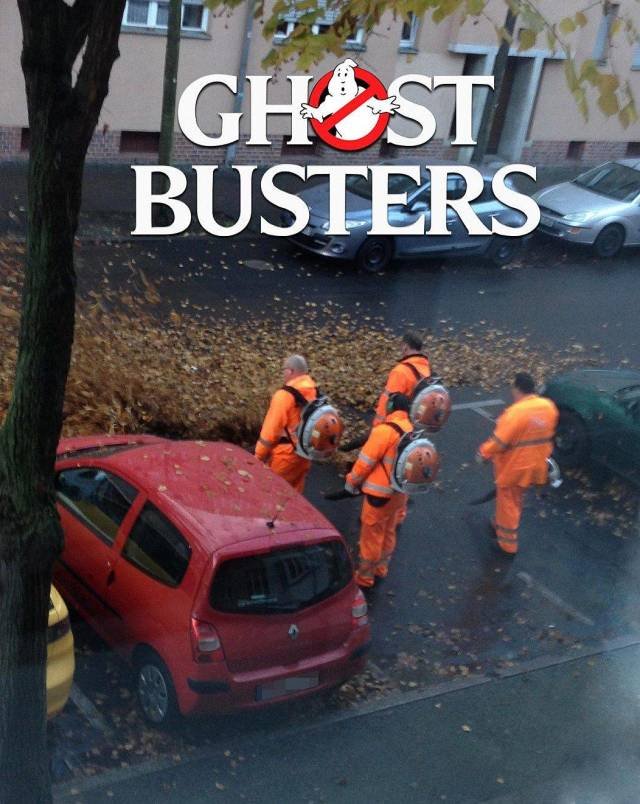 Bildschirmarbeiter - Picdump 07.12.2018