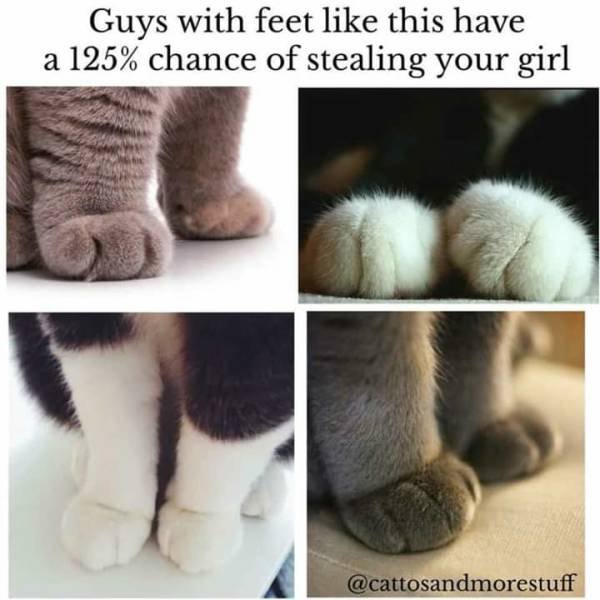 Bildschirmarbeiter - Picdump 07.12.2018