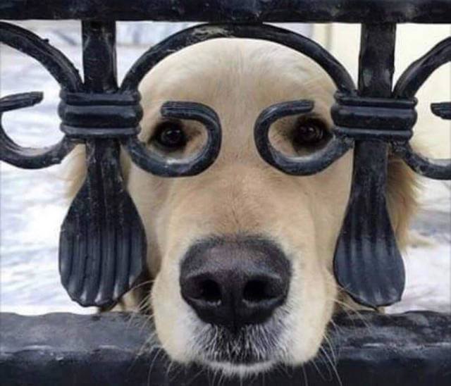 Bildschirmarbeiter - Picdump 07.12.2018