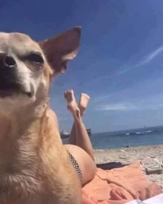 Bildschirmarbeiter - Picdump 07.12.2018