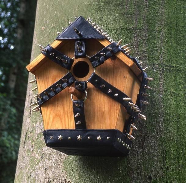 Bildschirmarbeiter - Picdump 14.12.2018