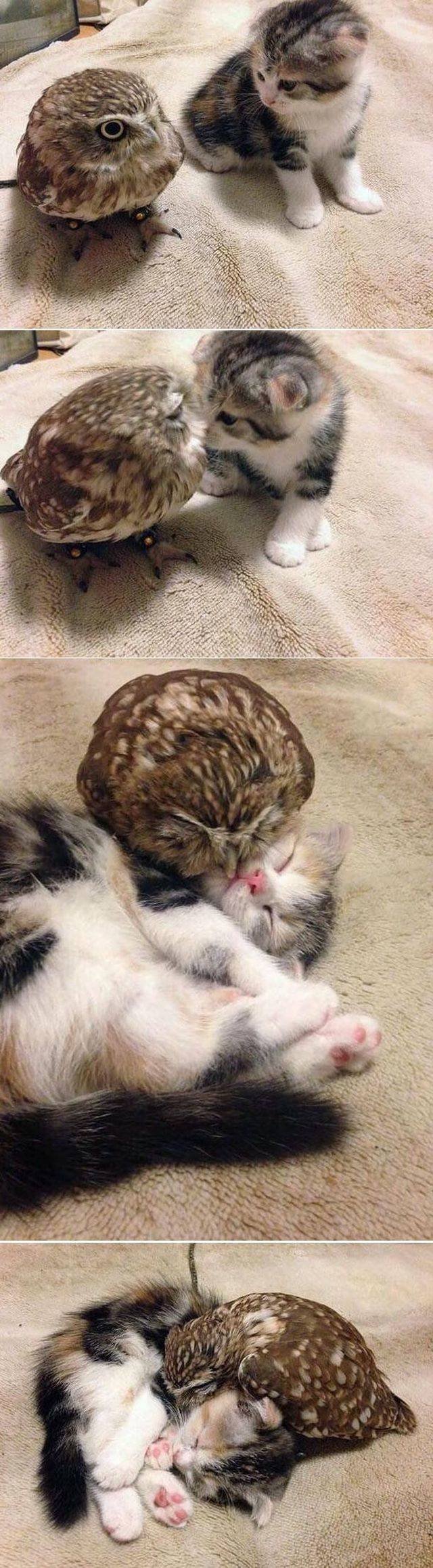 Bildschirmarbeiter - Picdump 14.12.2018