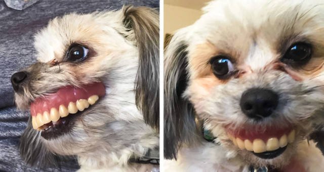 Bildschirmarbeiter - Picdump 14.12.2018