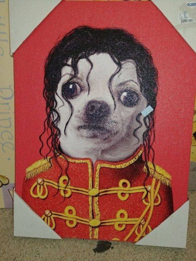 Bildschirmarbeiter - Picdump 14.12.2018