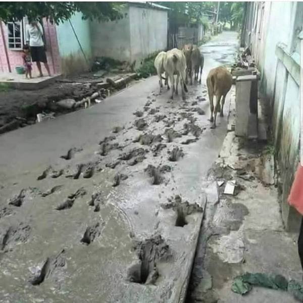 Bildschirmarbeiter - Picdump 11.01.2019