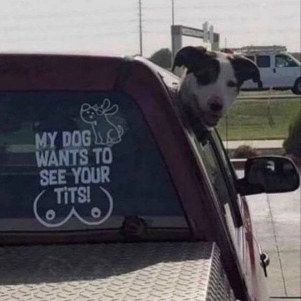 Bildschirmarbeiter - Picdump 11.01.2019